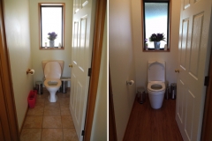 toilet_before-after